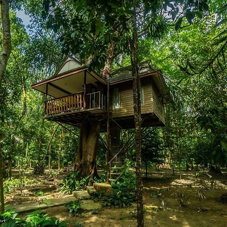 Baan Khaosok Resort Khao Sok National Park Exteriér fotografie