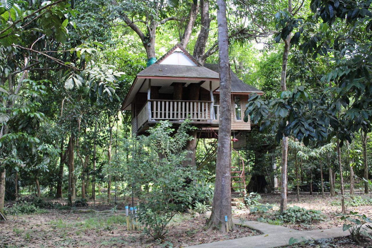Baan Khaosok Resort Khao Sok National Park Exteriér fotografie