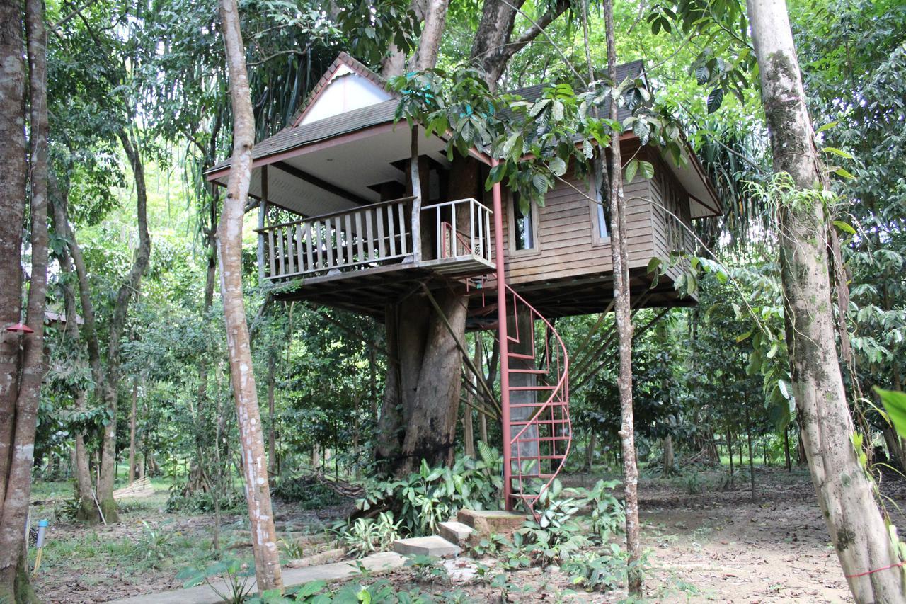 Baan Khaosok Resort Khao Sok National Park Exteriér fotografie
