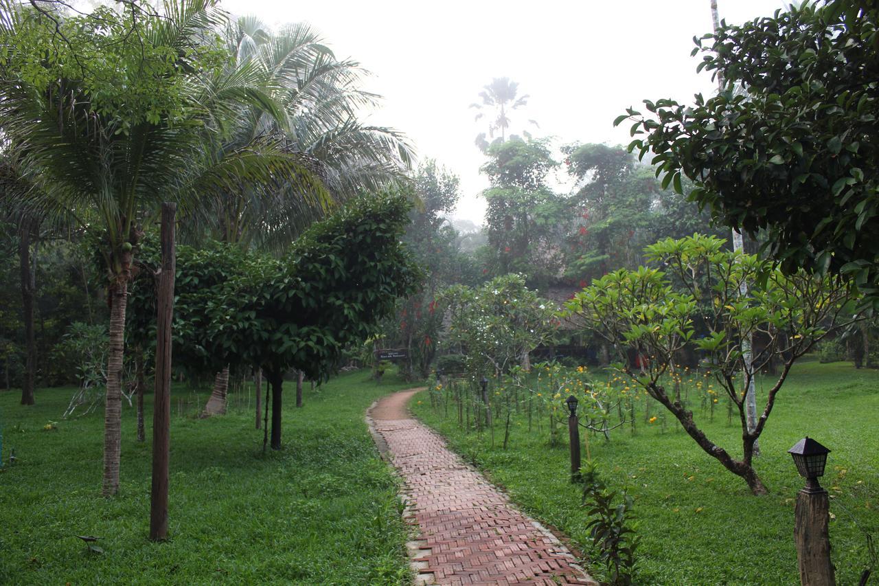 Baan Khaosok Resort Khao Sok National Park Exteriér fotografie