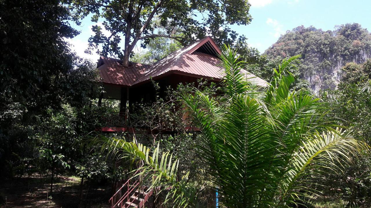 Baan Khaosok Resort Khao Sok National Park Exteriér fotografie
