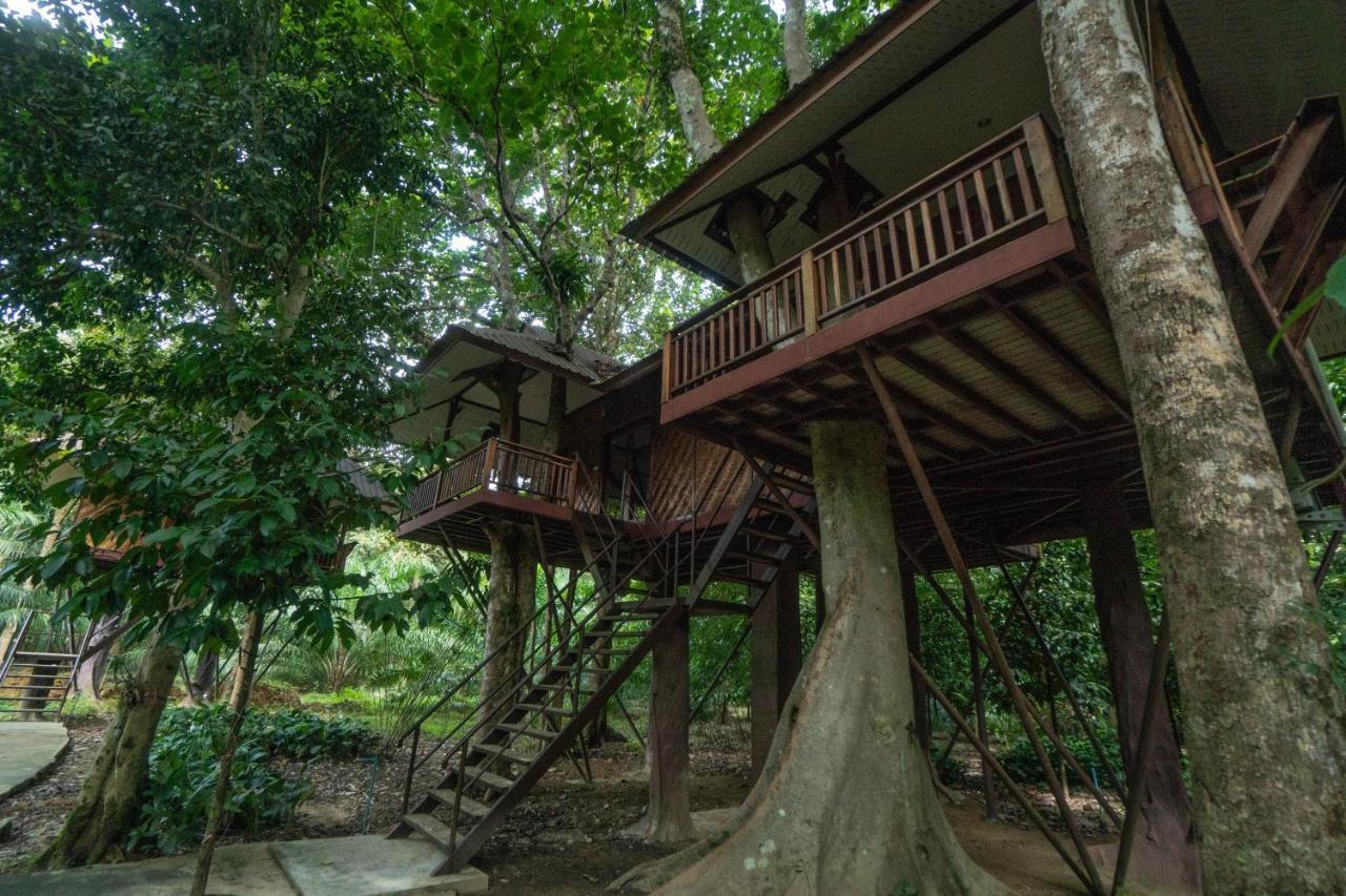 Baan Khaosok Resort Khao Sok National Park Exteriér fotografie